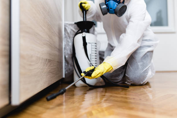 Reliable Newark, NJ Pest Control Solutions