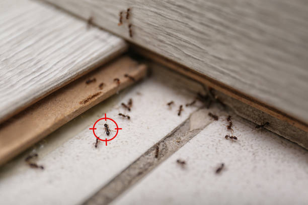 Best Mosquito Control Services  in Newark, NJ