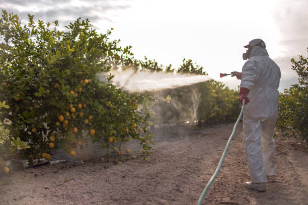 Best Residential Pest Control  in Newark, NJ