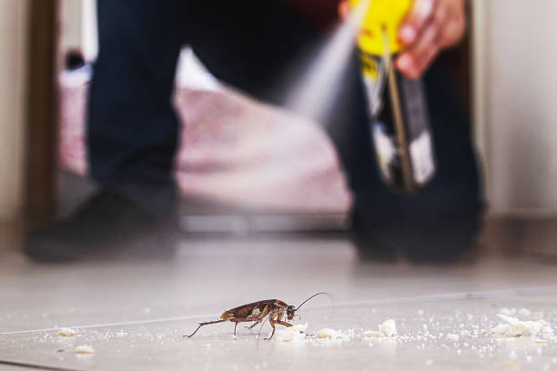 Spider Control Near Me in Newark, NJ