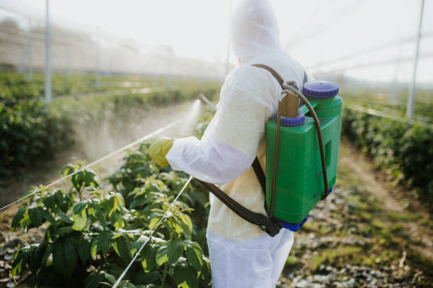 Best Termite Control Services  in Newark, NJ